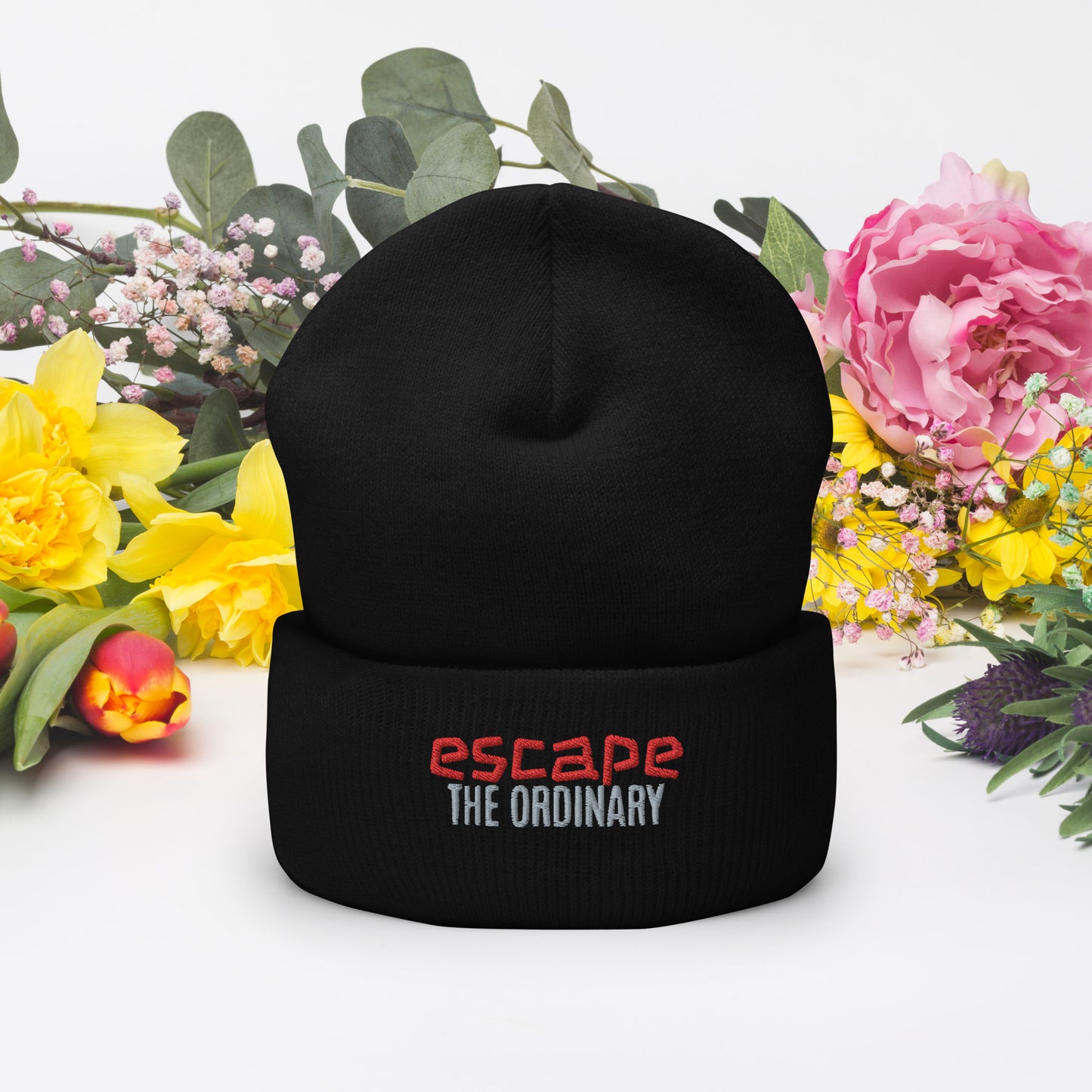 Escape The Ordinary Cuffed Beanie