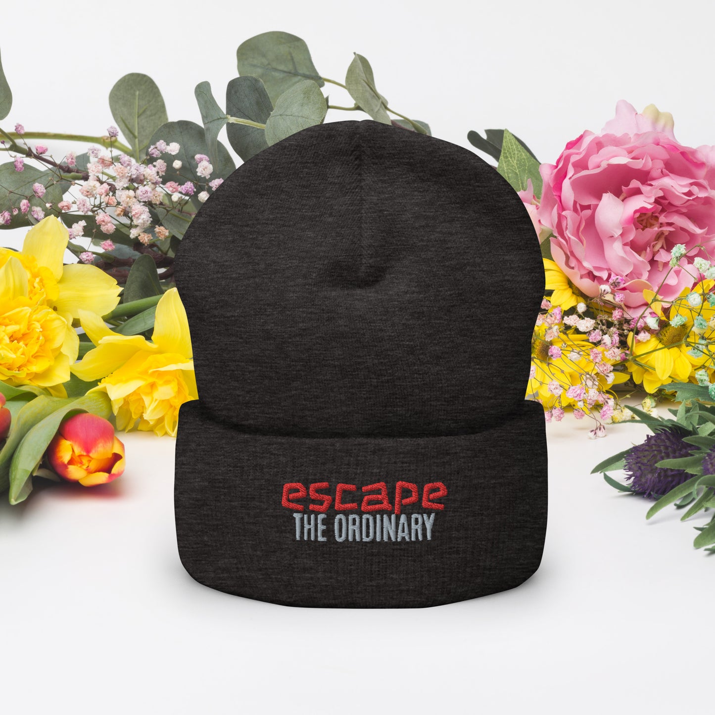 Escape The Ordinary Cuffed Beanie