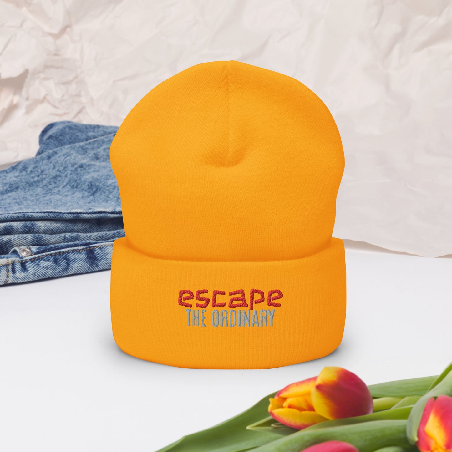 Escape The Ordinary Cuffed Beanie