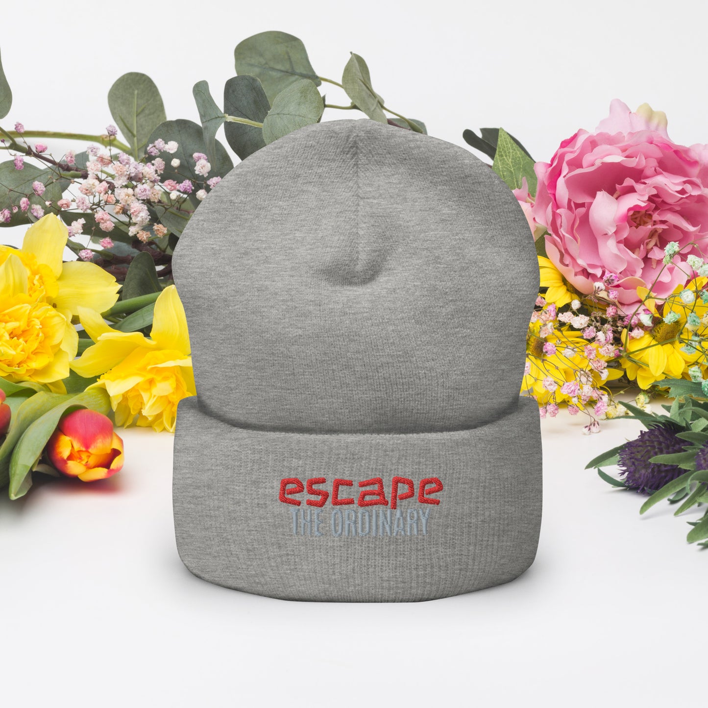 Escape The Ordinary Cuffed Beanie