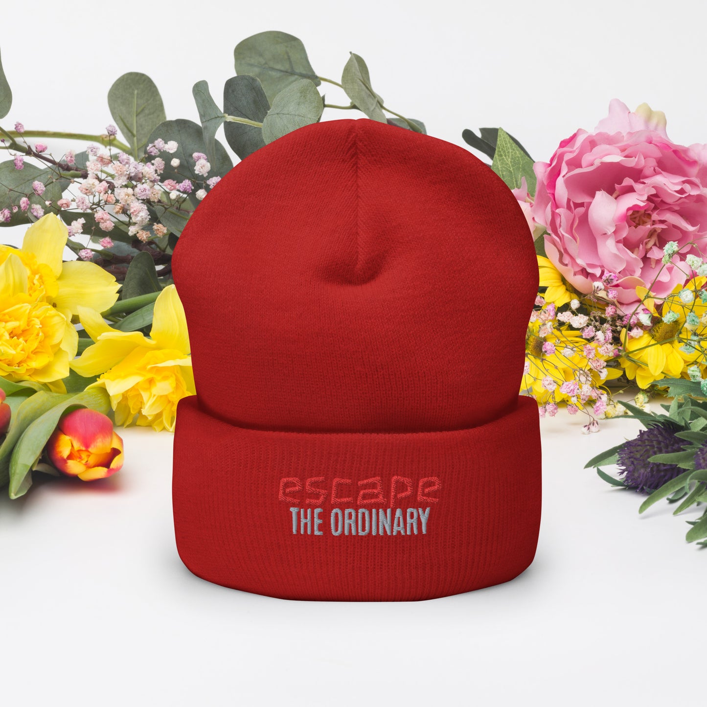 Escape The Ordinary Cuffed Beanie