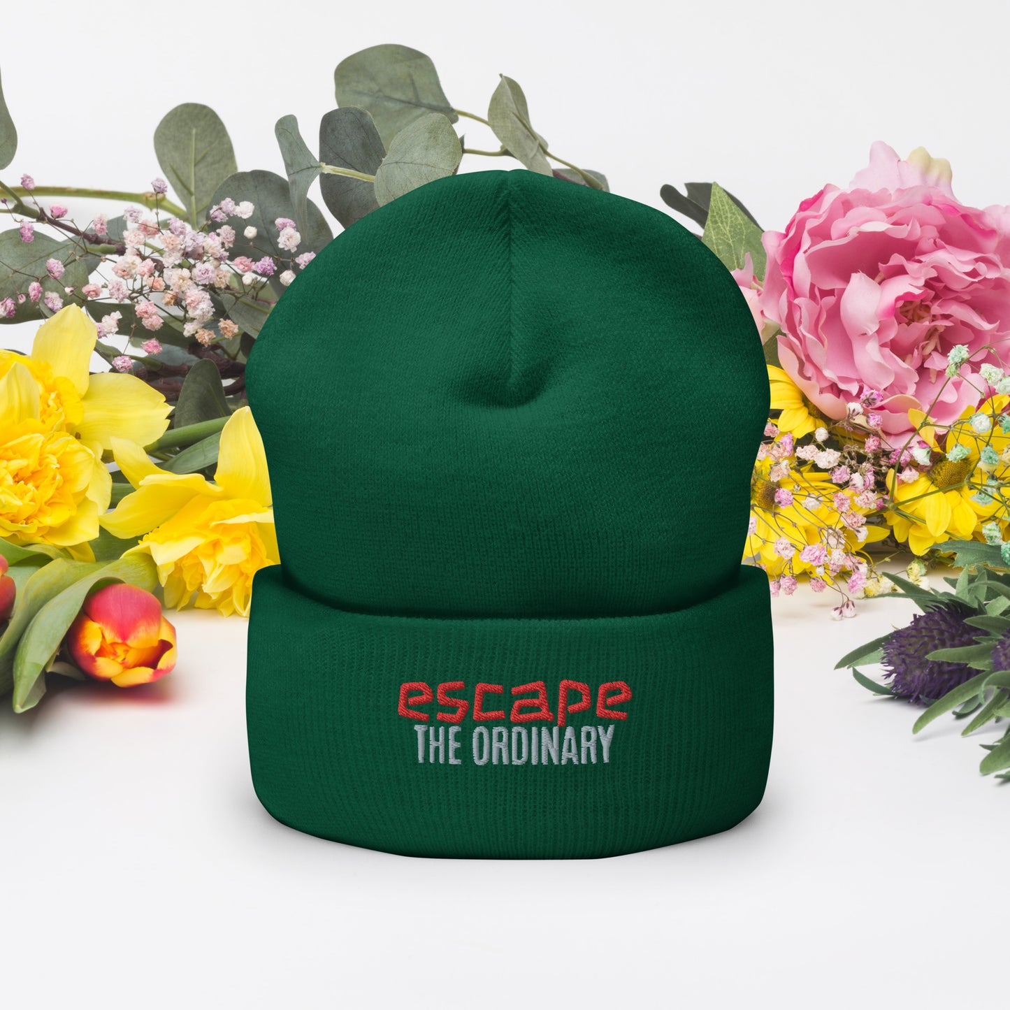 Escape The Ordinary Cuffed Beanie