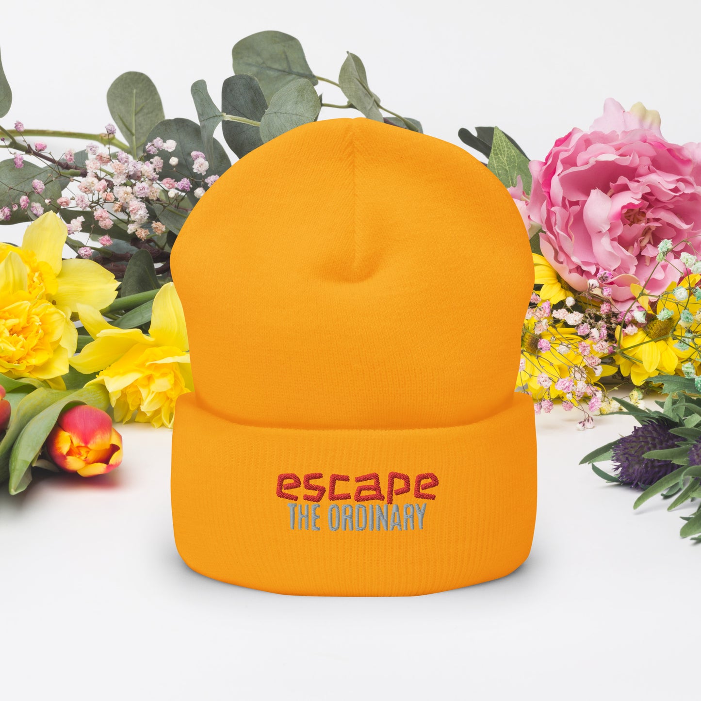 Escape The Ordinary Cuffed Beanie
